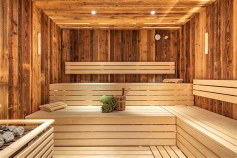 luxe vakantiehuis met sauna duitsland